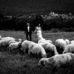 sesja ślubna plener ślubny